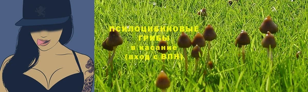 MDMA Premium VHQ Верхнеуральск